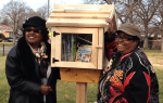 Detroit Little Libraries
